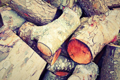 Dunks Green wood burning boiler costs